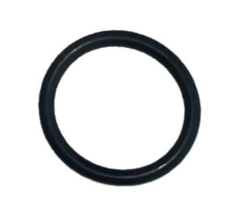 Picture of O-RING